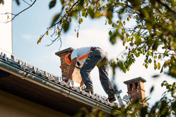 Best Slate Roofing Contractor  in Jena, LA