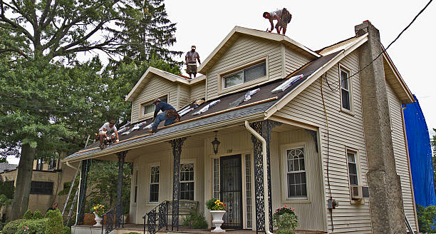 Best Gutter Installation and Roofing  in Jena, LA